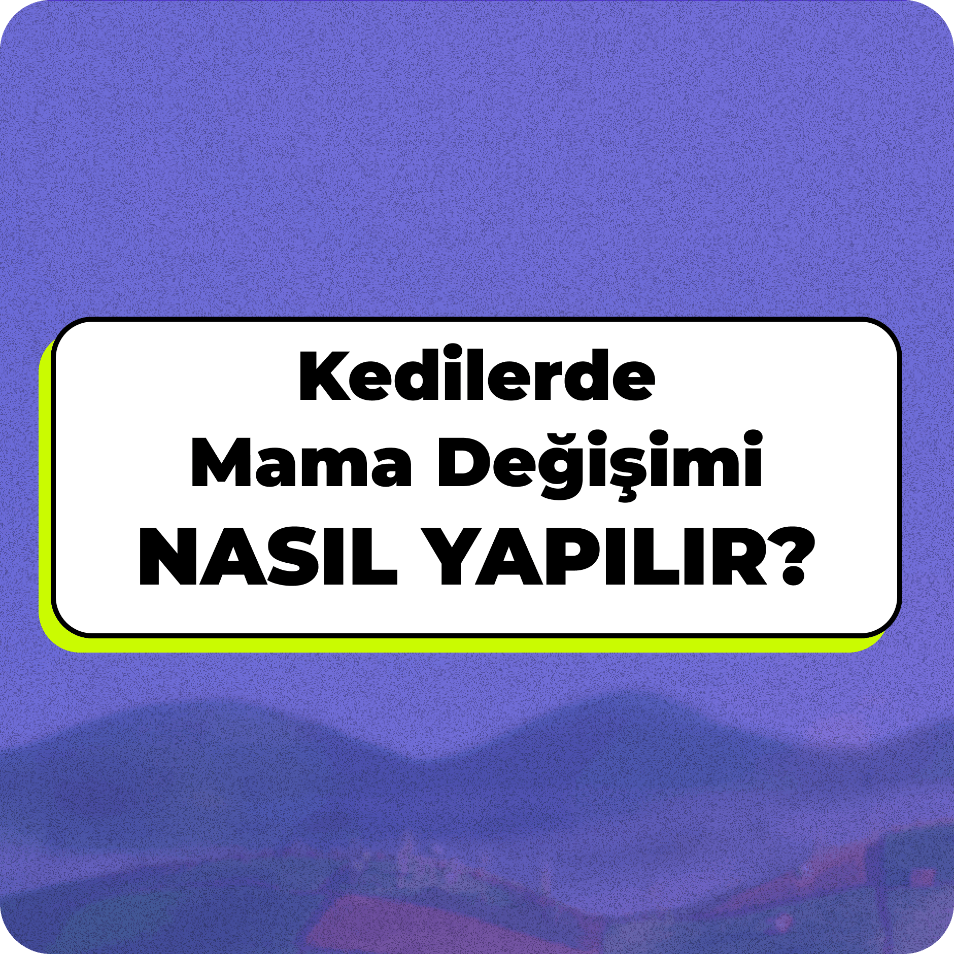 Kedilerde Mama Değişimi Nasıl Yapılmalıdır? - Mama Keyfi