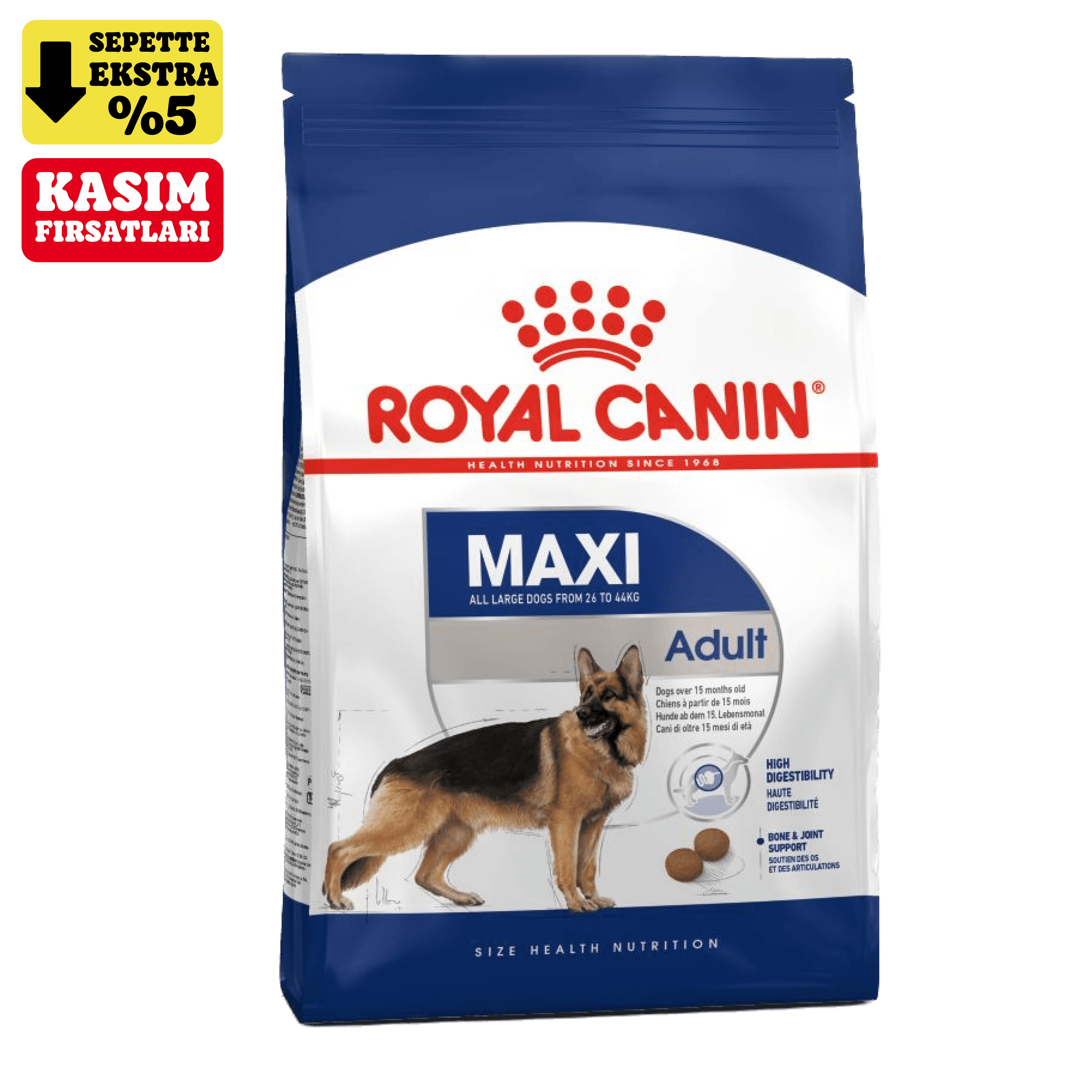 Royal Canin Maxi Büyük Irk Yetişkin Köpek Maması 15 kg