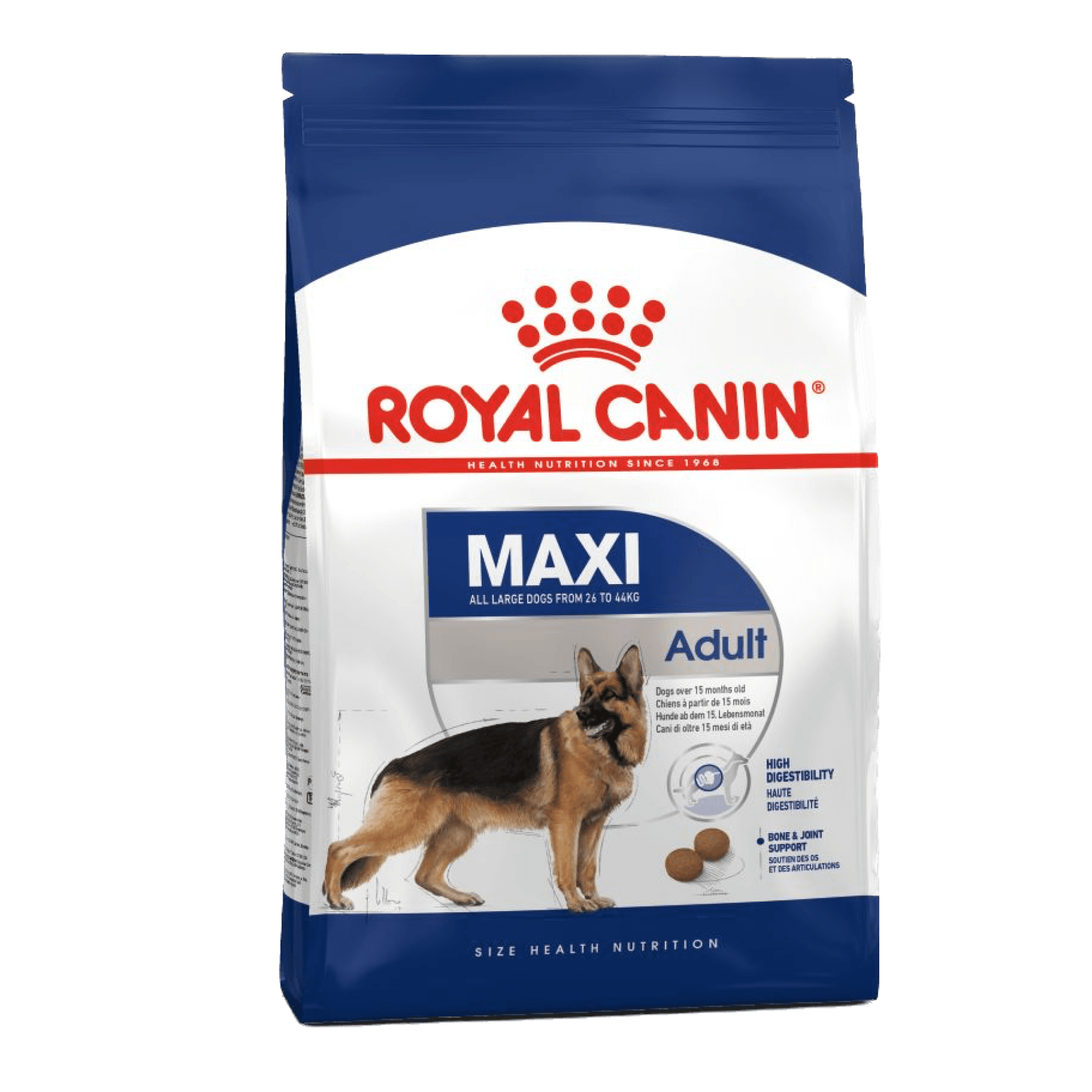 Royal Canin Maxi Büyük Irk Yetişkin Köpek Maması 15 kg