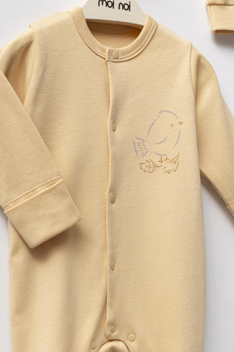 Oeko-Tex Sertifikalı 3’lü Sonbahar Kuş Desenli Kız Bebek Seti