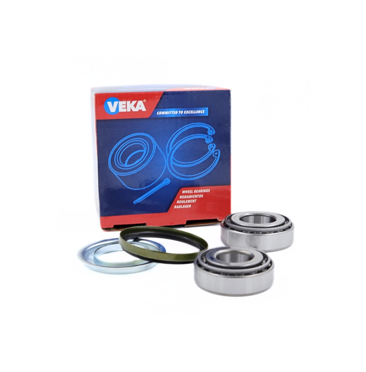 RENAULT R12  / Toros Arka Teker Rulman Kit