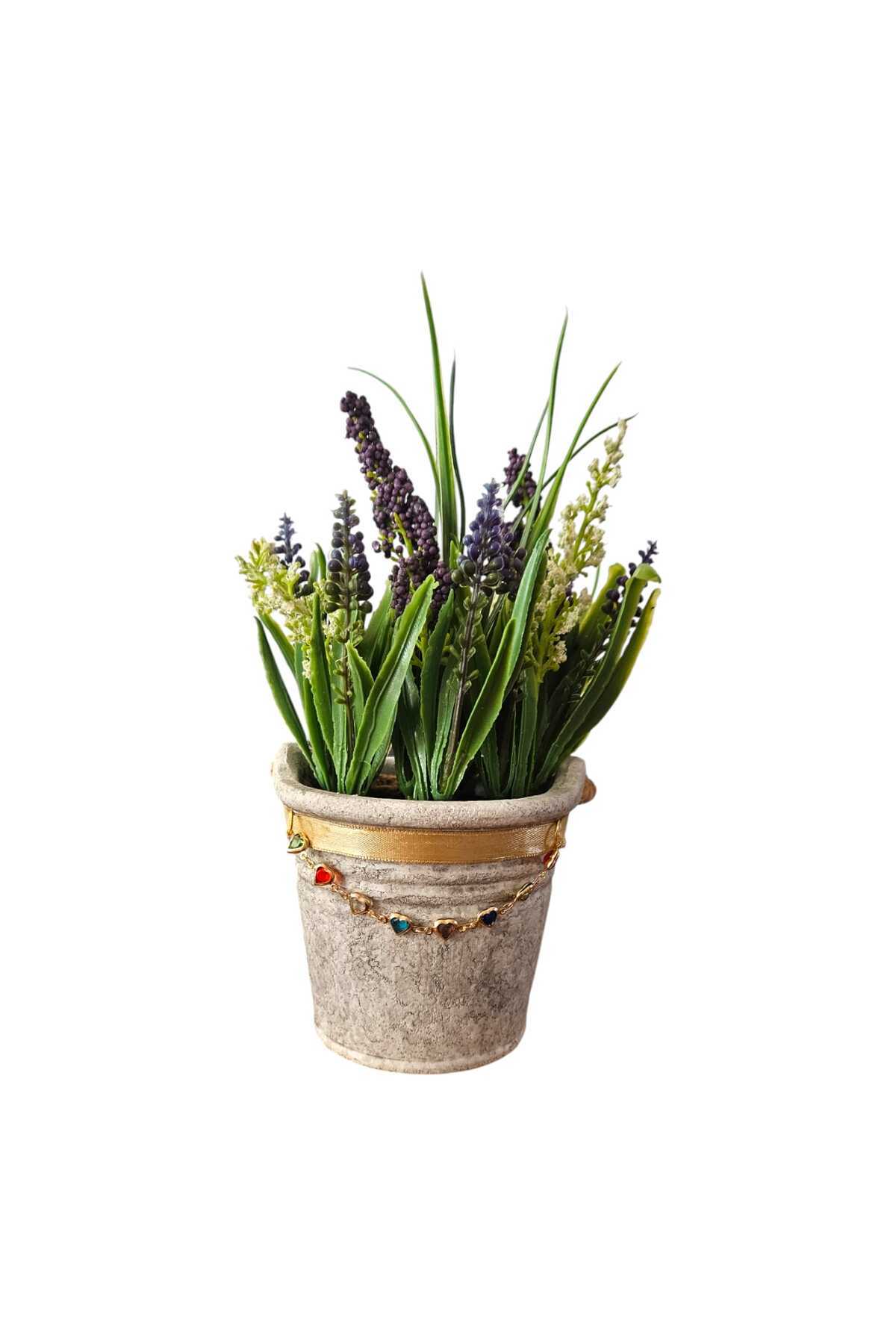 LoveBear Lavanta Bahçesi 