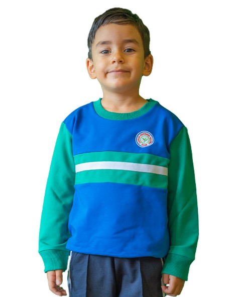 Saks Yeşil Basic Sweat