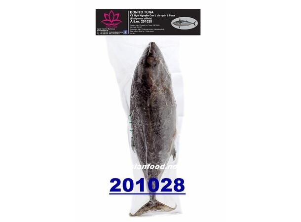 LOTUS Striped Bonito Cleaned ( Tunfisk ) 10kg