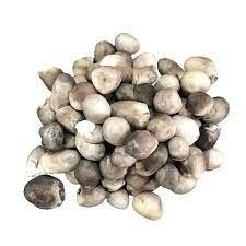 LOTUS Straw mushroom frozen 500g