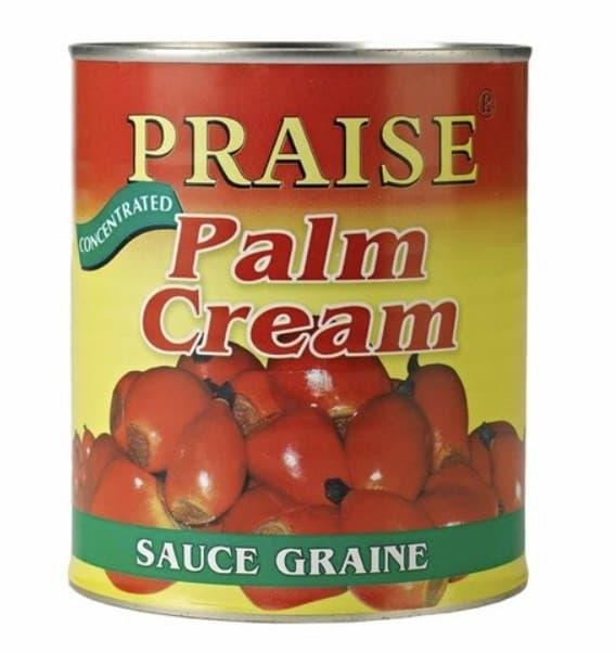 PRAISE Palm cream sauce graine 800g