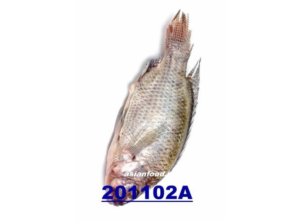 Tilapia gutted & descaled 1kg