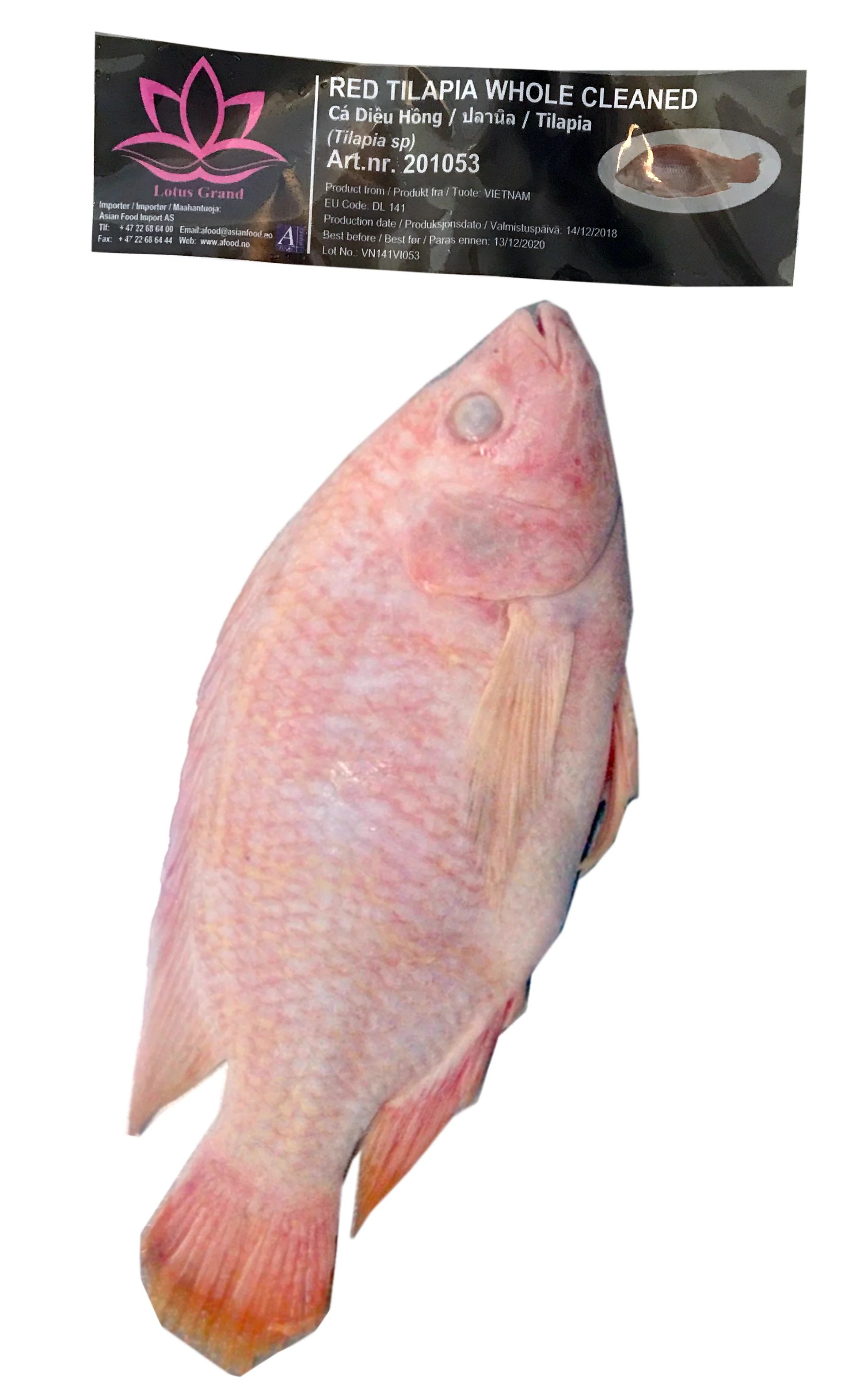 LOTUS Red Tilapia whole cleaned 1 kg