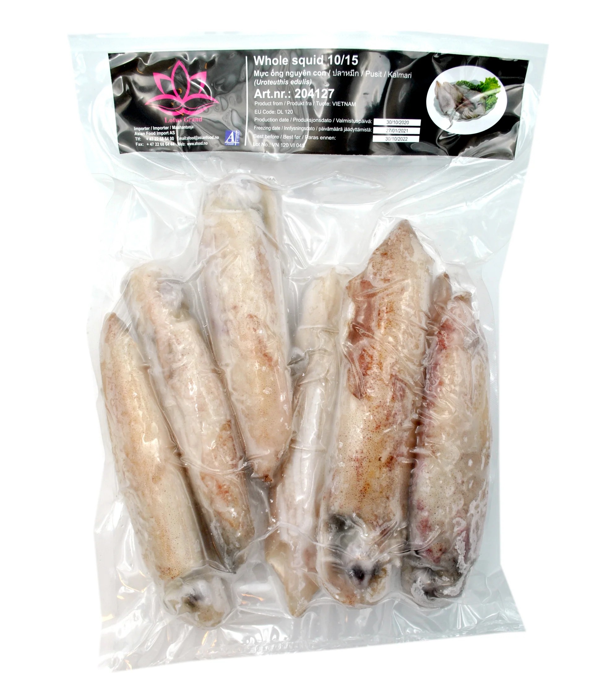 LOTUS Whole squid cleaned L:10cm-15cm 1kg