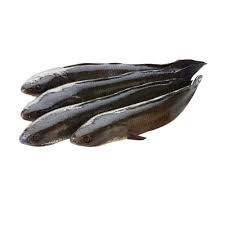 LOTUS Striped Snakehead whole clean 1 kg