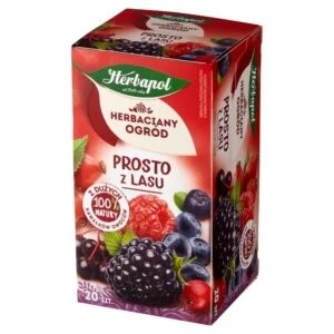 Herbapol Te med Skogsbær "Prosto z lasu" (2,5g x 20st)