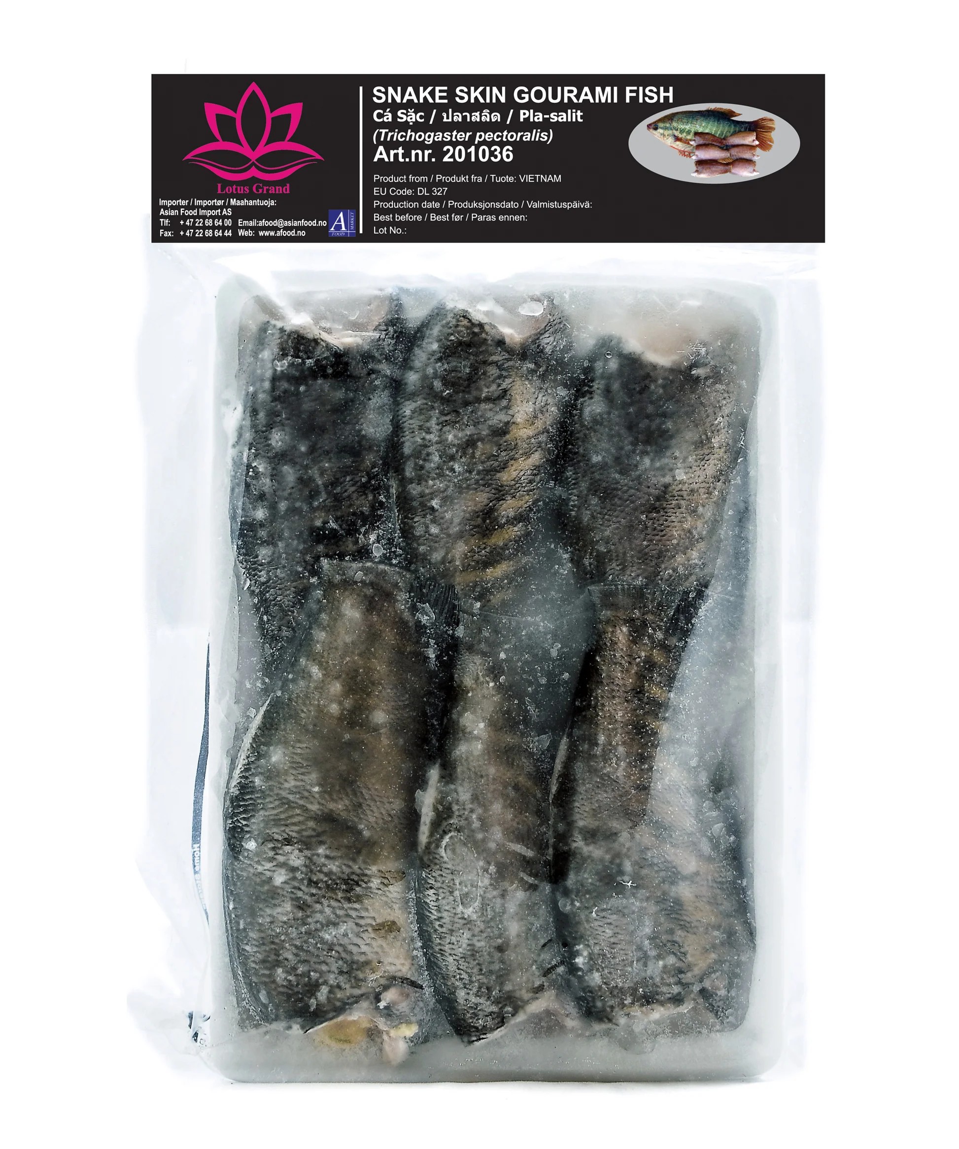 LOTUS Snake skin Gourami fish 400 g