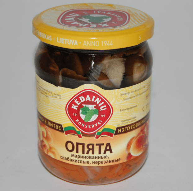 SOPP OPJATA (HONINGSOPP) KEDAINIU 480G