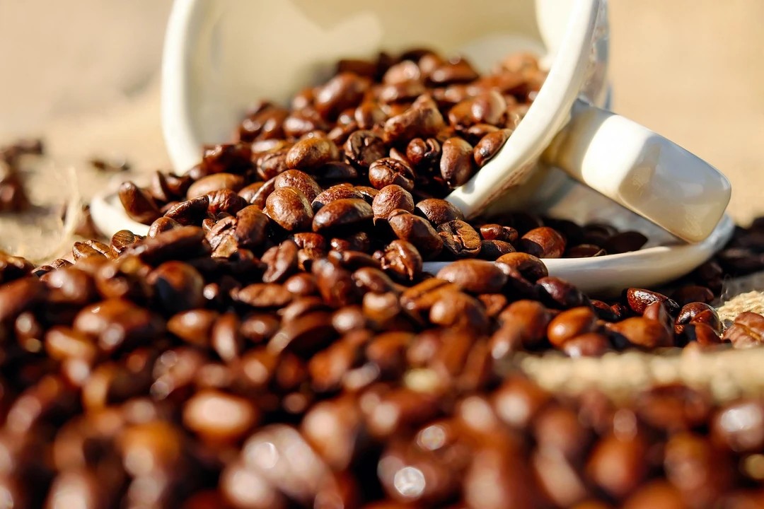 Fincandan dökülen kahve çekirdekleri – espresso ve filtre kahve demleme yöntemlerinin temeli
