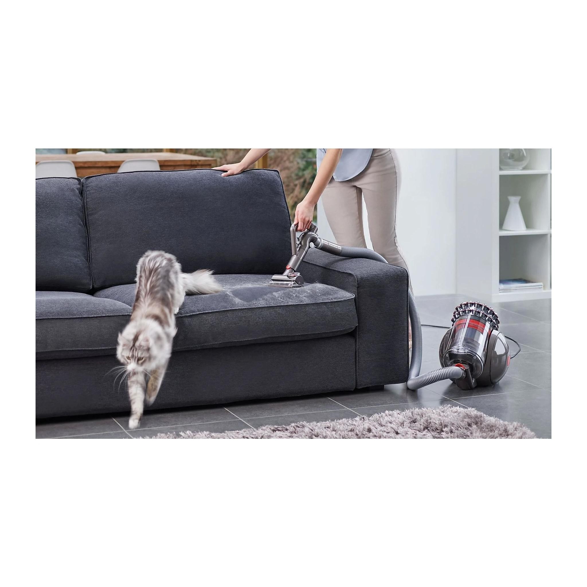 Dyson Cinetic Big Ball Absolute 2 700 W Toz Torbasız Elektrikli Süpürge Gri