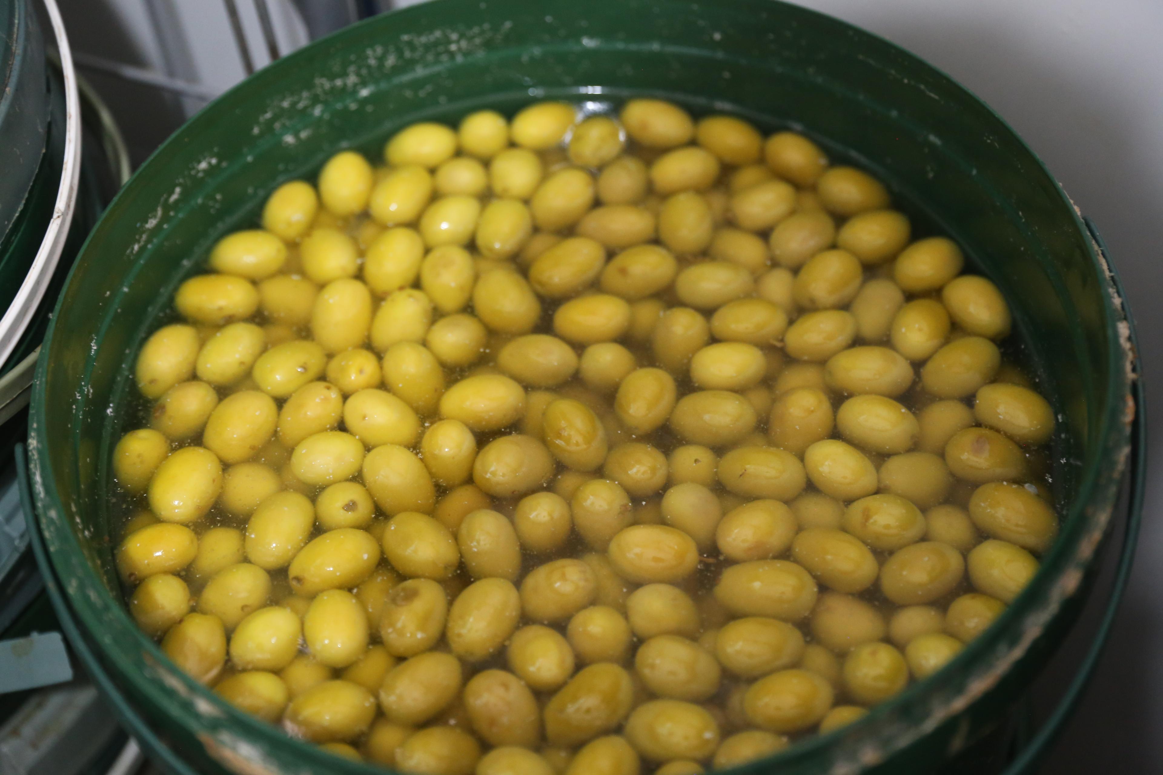 Duble Domat Zeytin