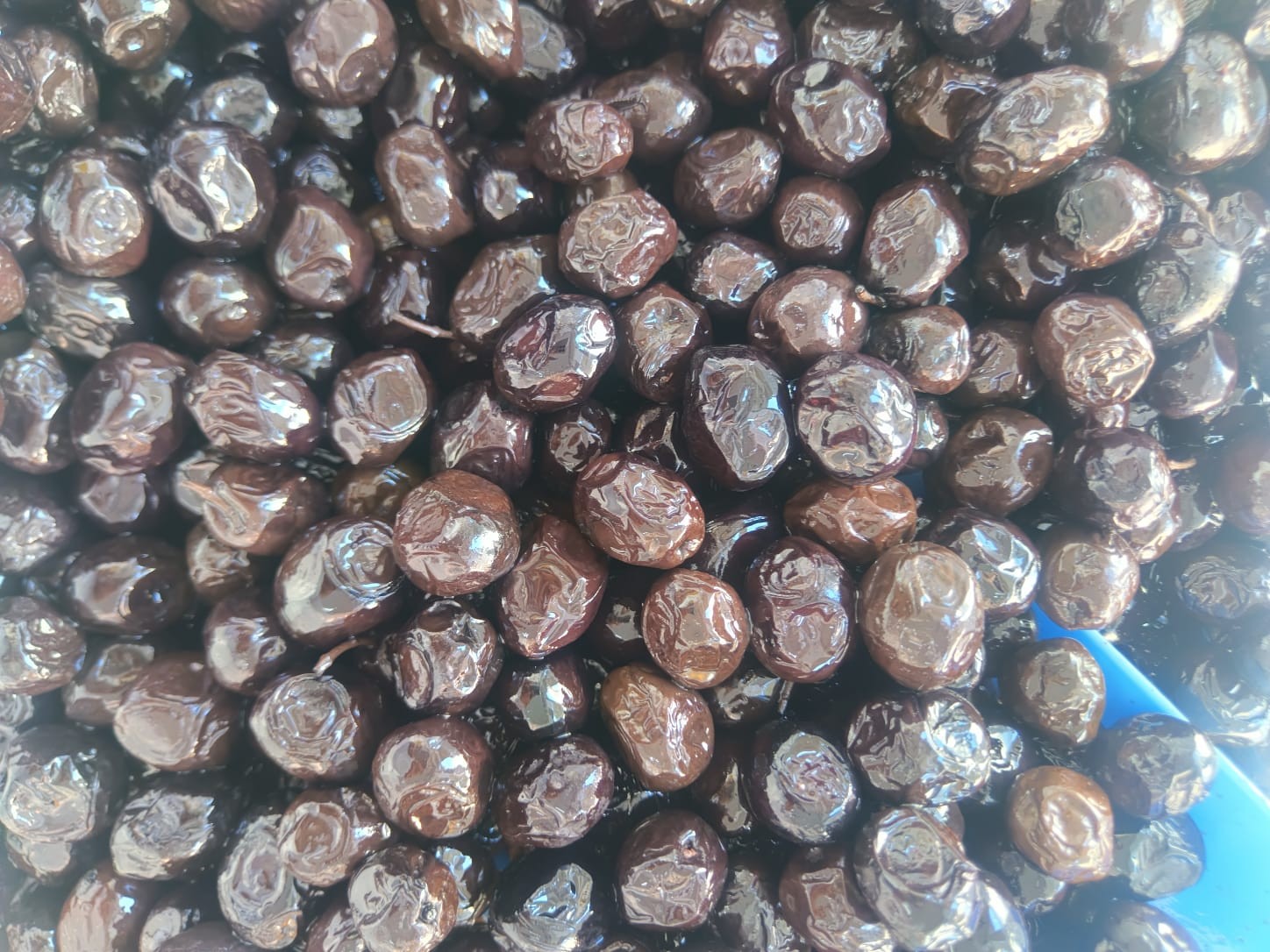 DUBLE TAŞ BASKI ZEYTİN(260-290)
