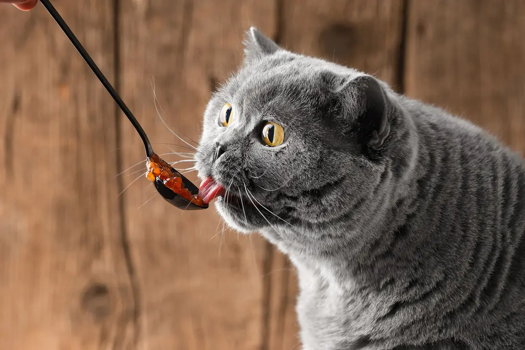 Soğuk Havalarda Artan Kalori İhtiyacı ve Metabolizma Değişimleri&nbsp;