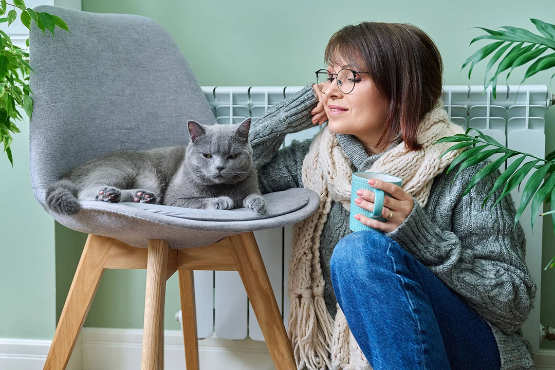 Kedi sahiplenmek için doğru zamanda mısınız?