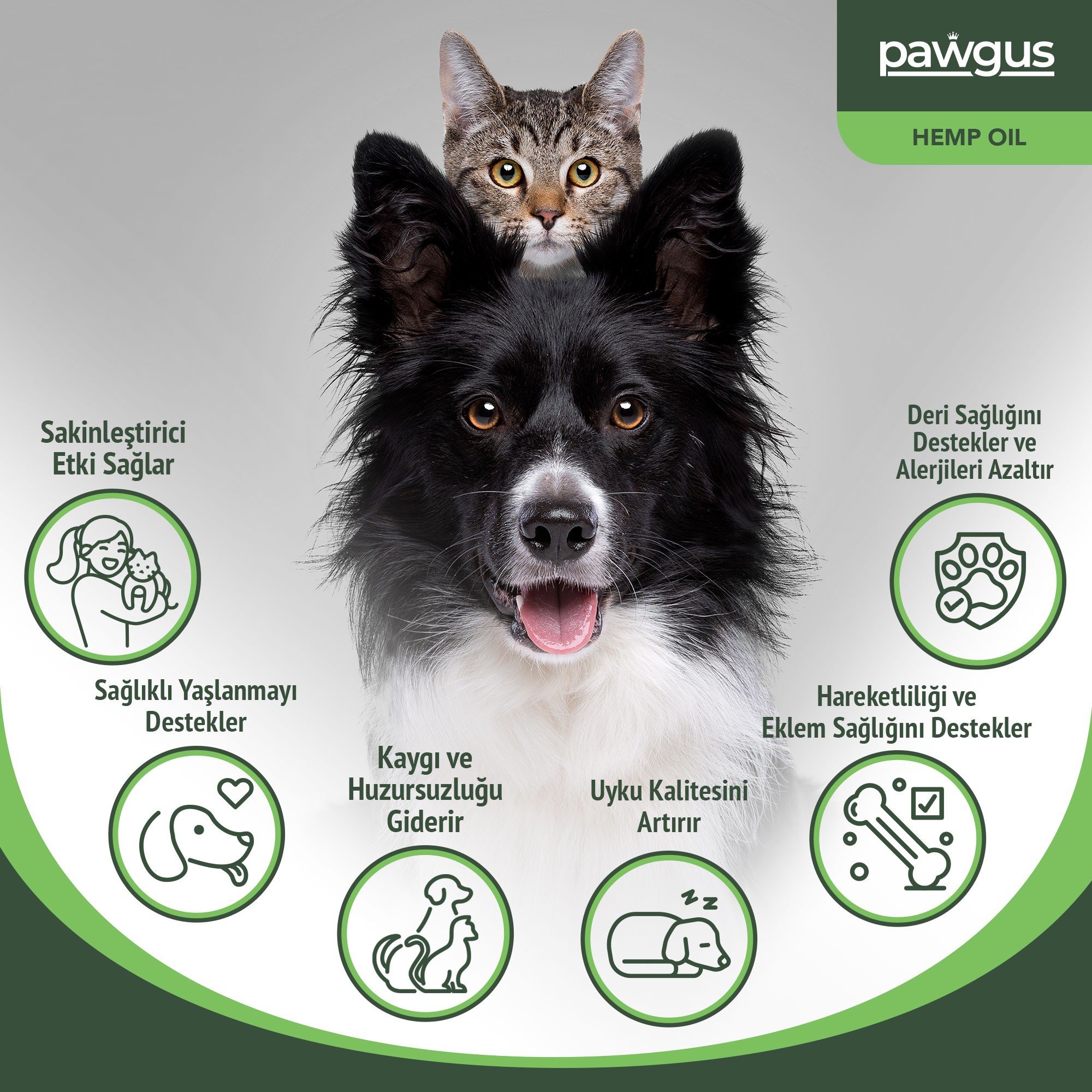 Pawgus Kenevir Yağ Kedi Köpek Sakinleştirici - Stress, Hiperaktivte, Artrit, Nöbet, Iştah, Uyku Takviyesi