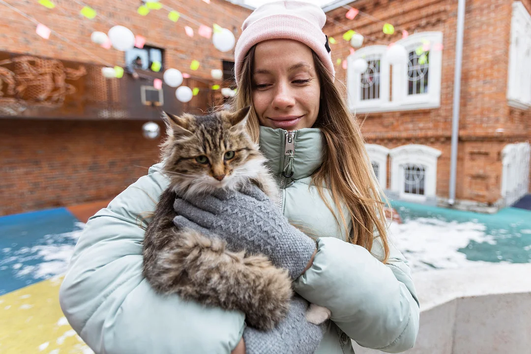 Hangi Kediler Soğuğa Karşı Daha Hassastır?