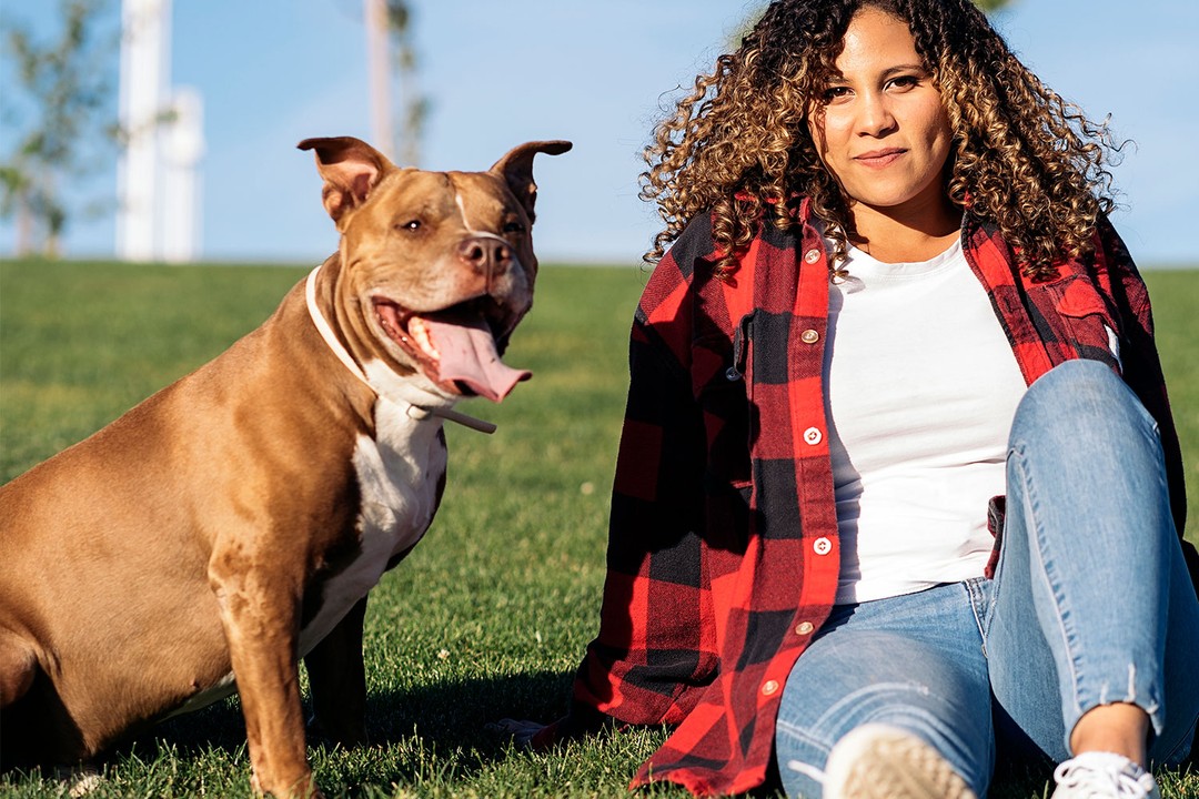 Köpek Sosyalleşmesi Nedir ve Neden Önemlidir?