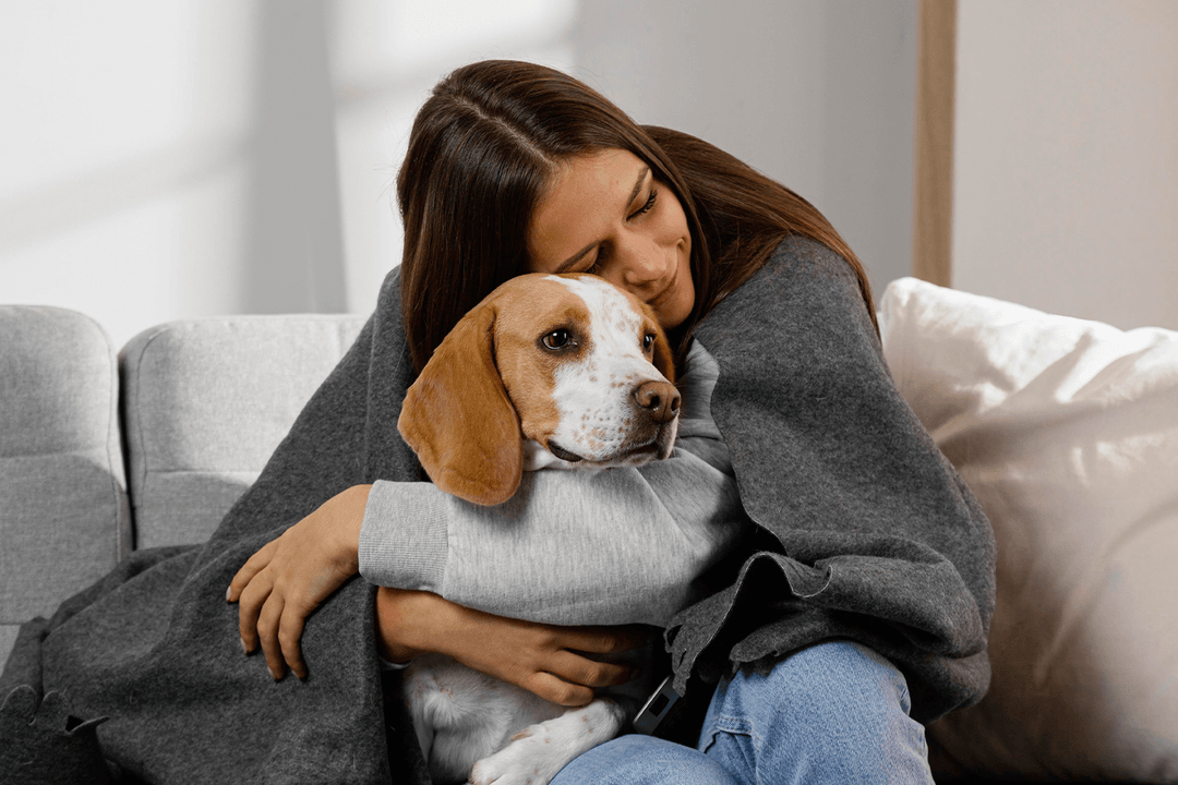 Köpeklerde Öksürüğün Olası Nedenleri