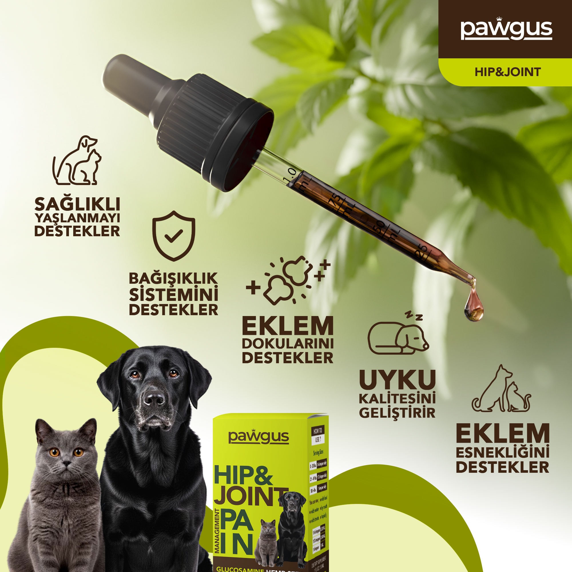 Hip & Joint - Kedi ve Köpek Kalça ve Eklem Sağlığı Desteği - Ağrı Yönetimi - Sağlıklı Yaşlanma