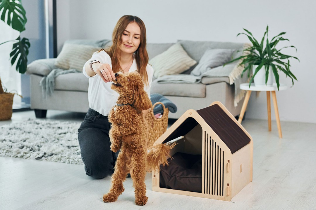Hangi Köpek Irkları ve Karakterleri Hangi Yaşam Alanına Daha Uygun?
