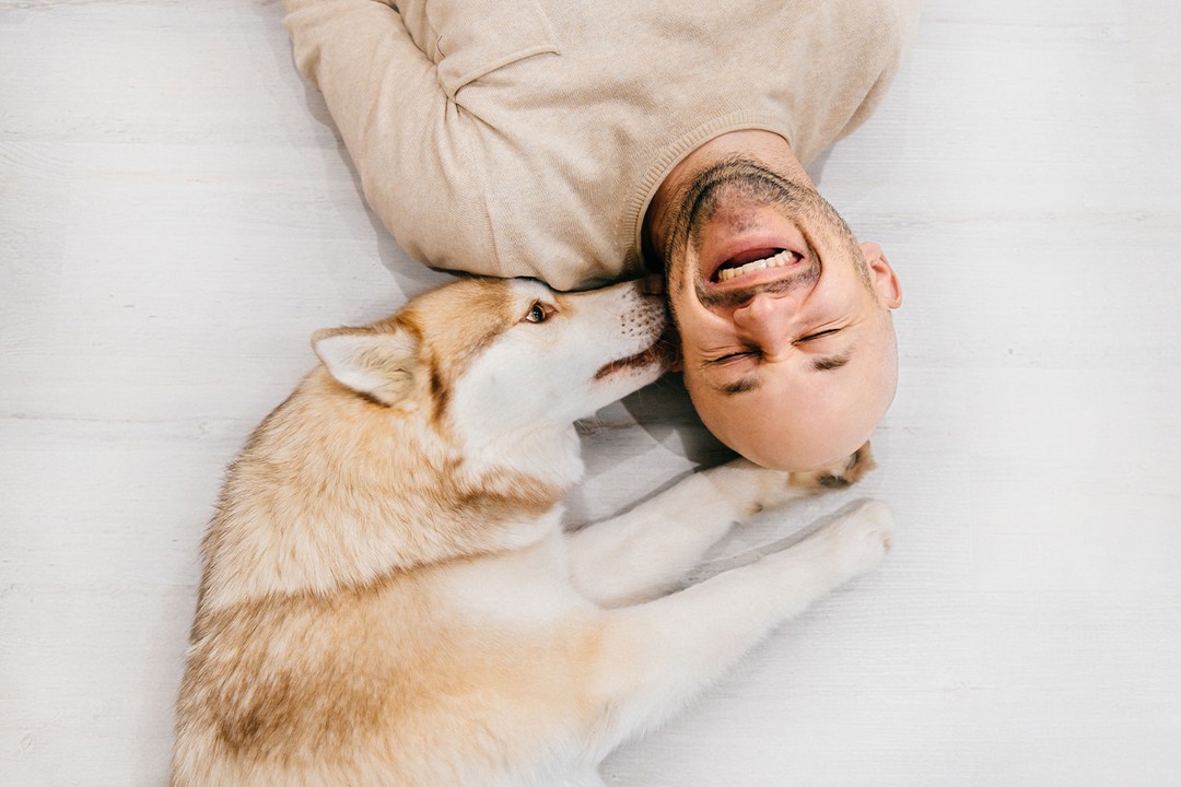 Köpeğinizle Bağ Kurma Aktiviteleri