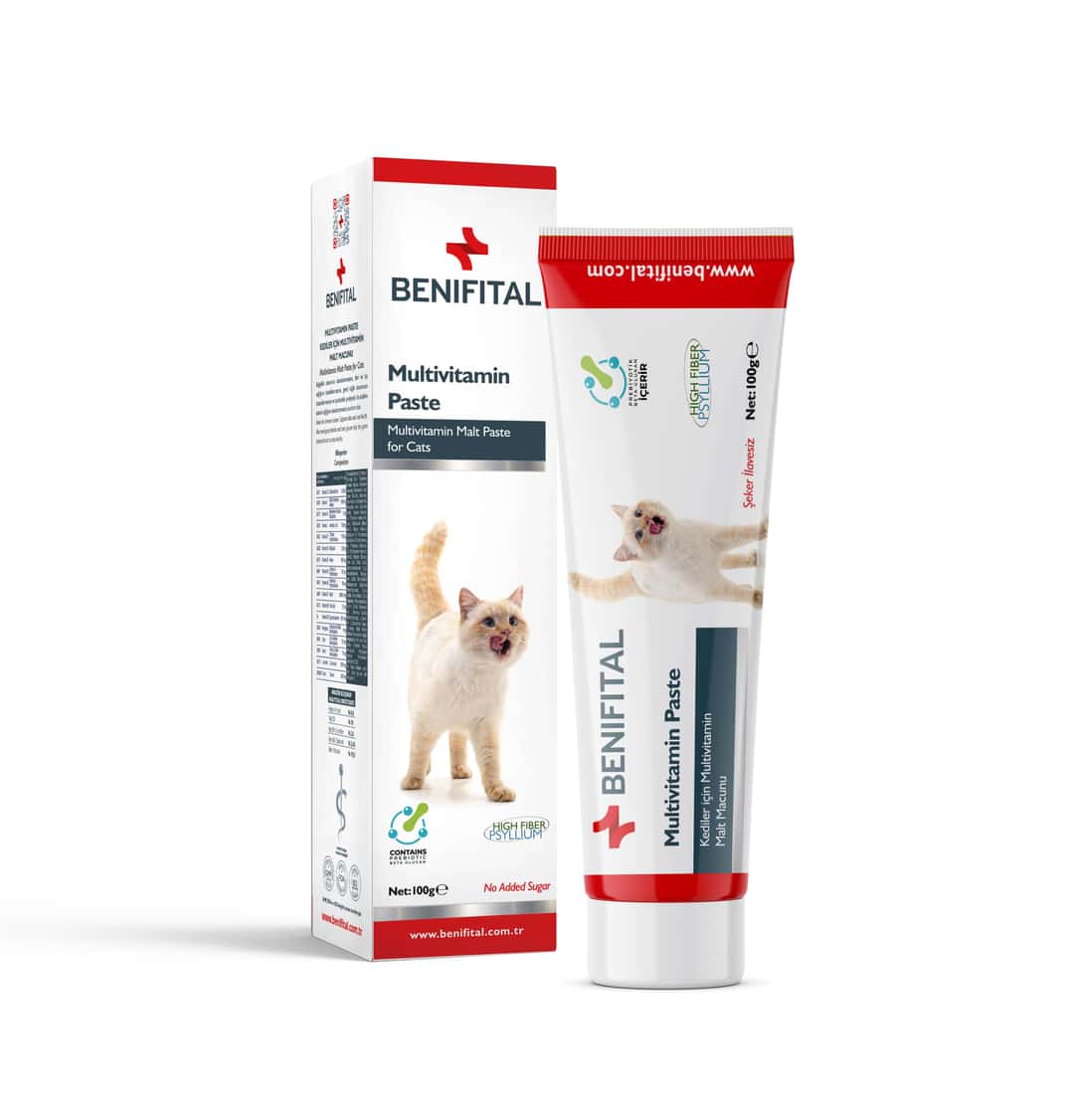 Multivitamin Paste 100 Gr Multivitamin Malt Paste for Cats