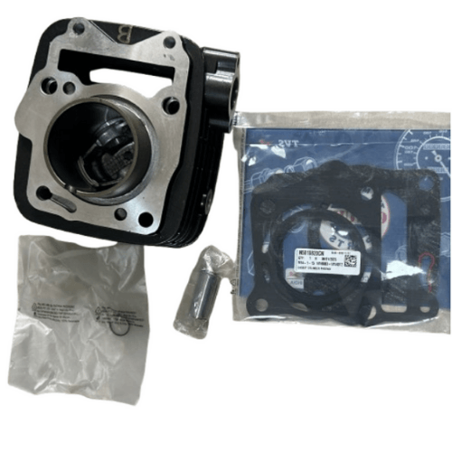 TVS Raider 125 Silindir Orjinal