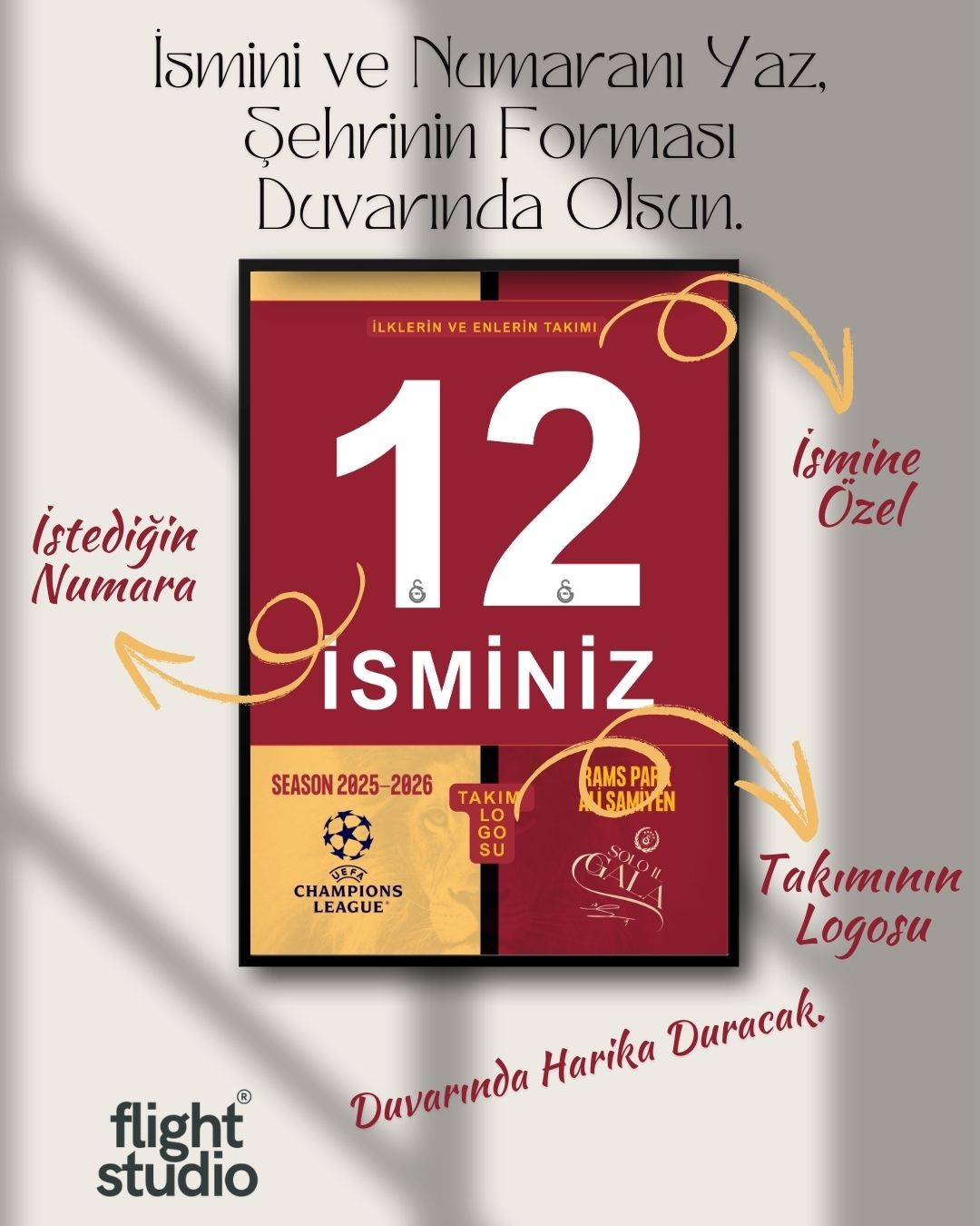 Aslan the Solo In Gala / Kişiselleştirebilir Poster Forma