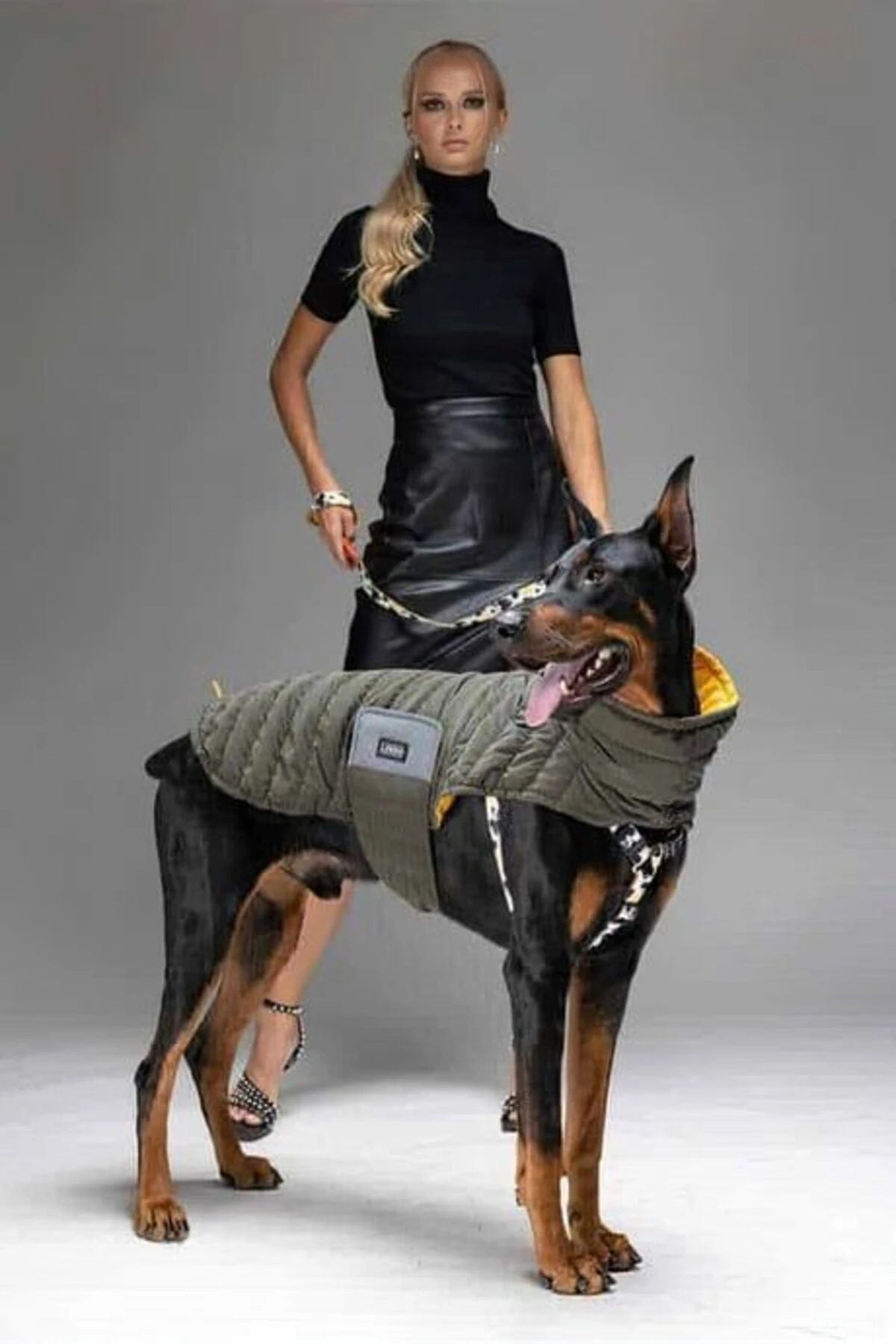 Dogs Air Puff Mango Köpek Montu Kahverengi Beden 1