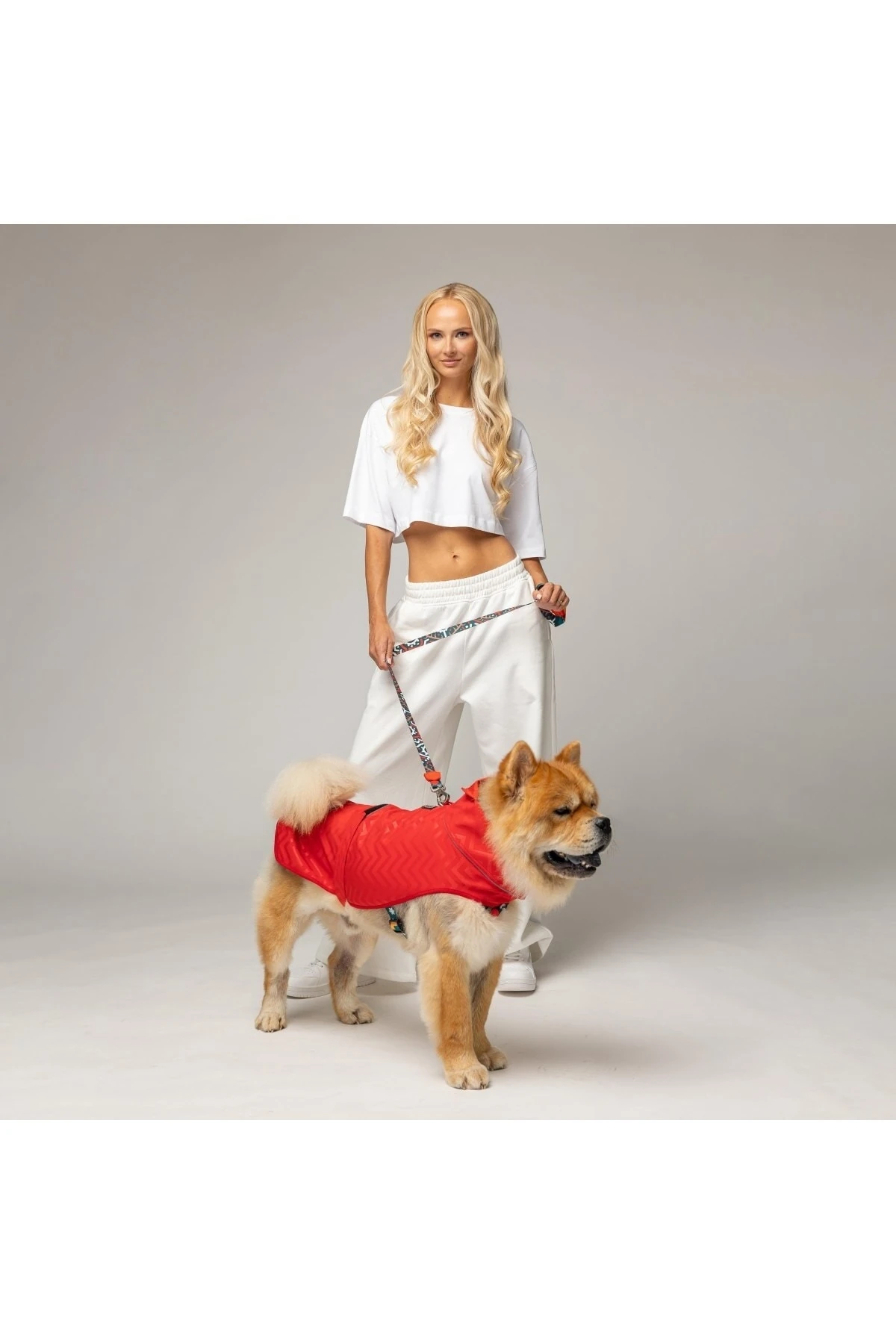 Softshell Red Stripe Küçük,Orta ve Büyük Irk Köpek Yağmurluğu