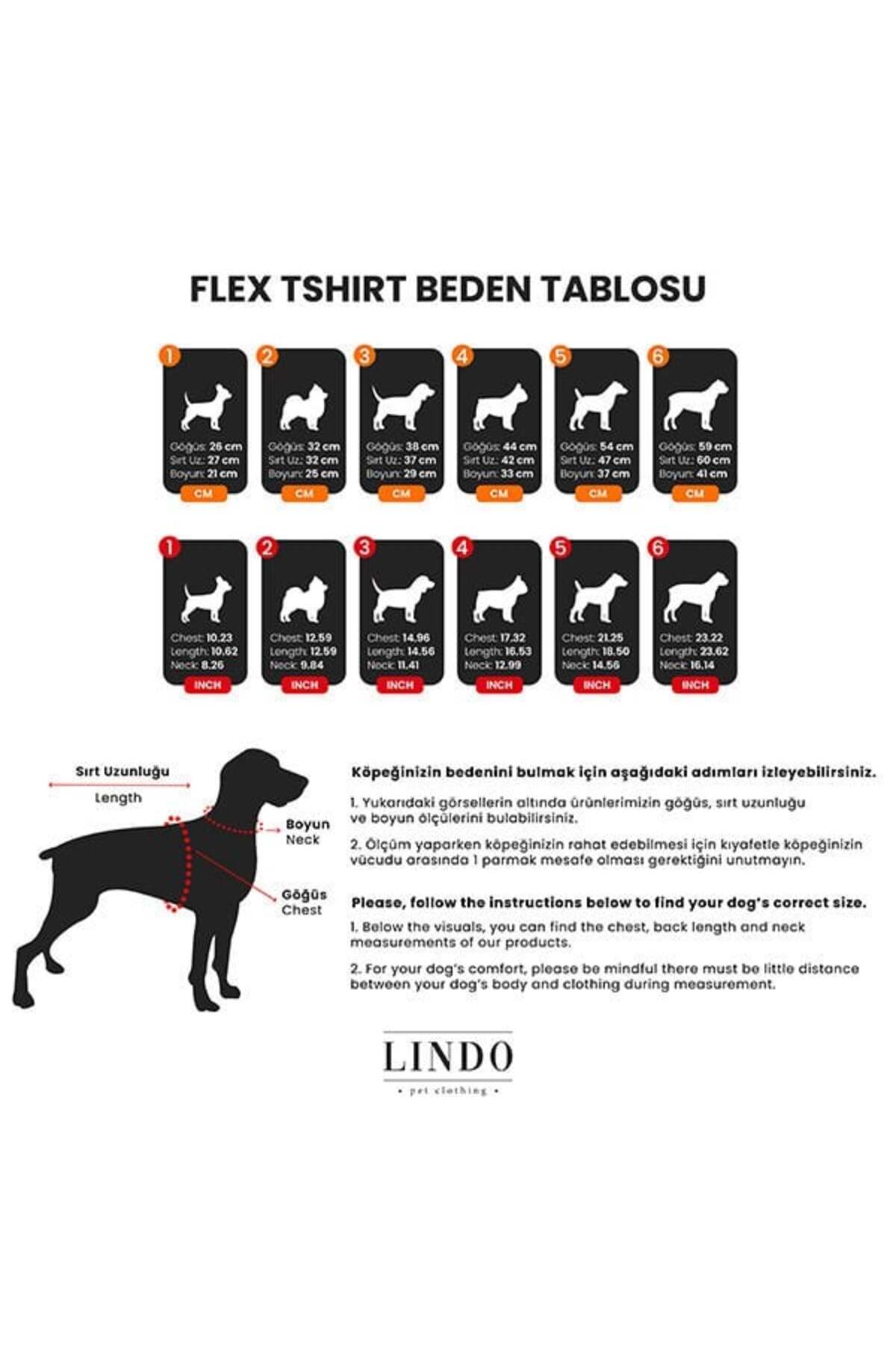 Lindo Dogs Make Today Amazing Köpek Kıyafeti Tshirt Yeşil Beden 4