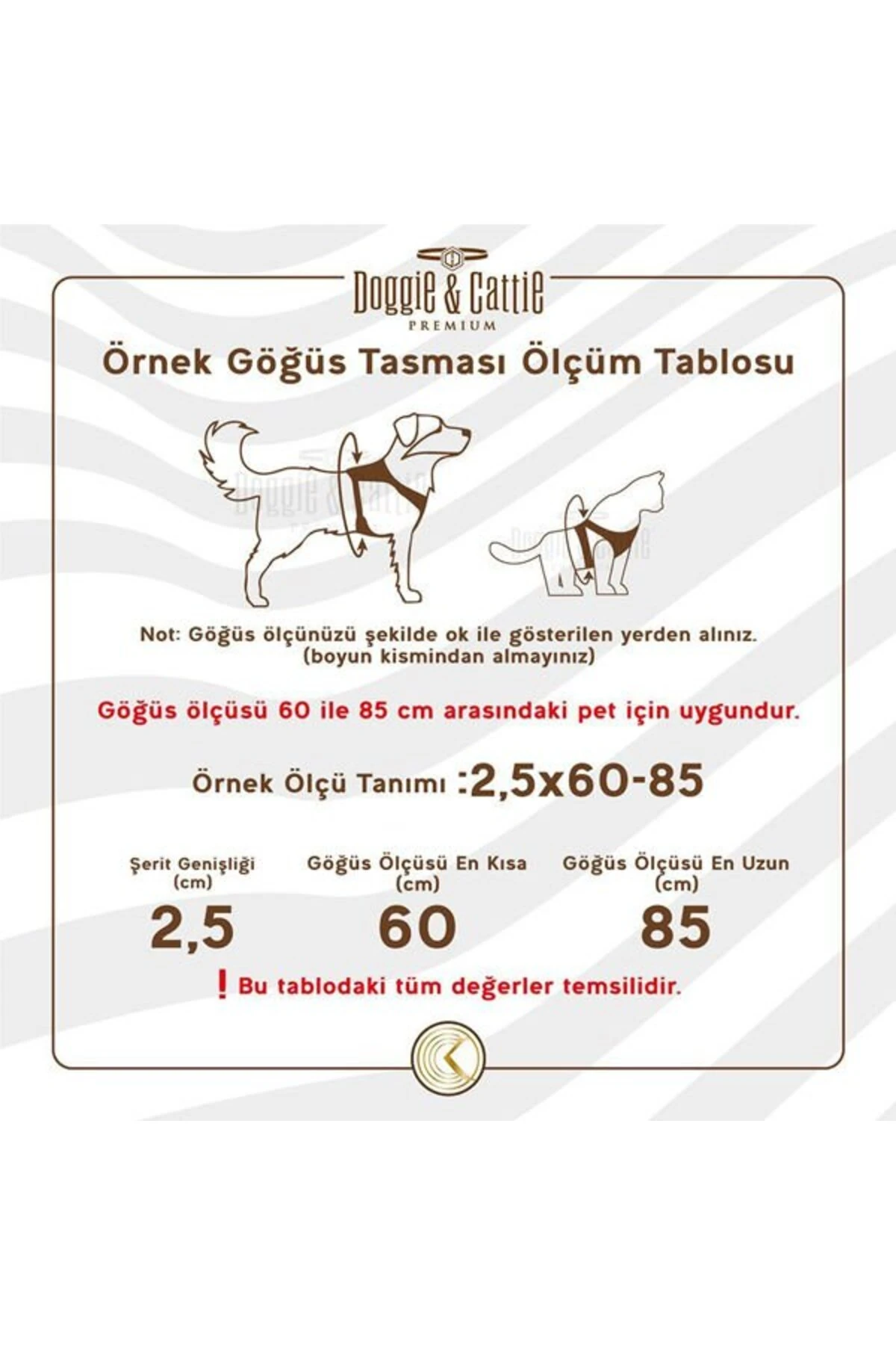 Cattie Havalı Dokuma Kedi Göğüs ve Gezdirme Takımı Small Turuncu 1x20-30 Cm