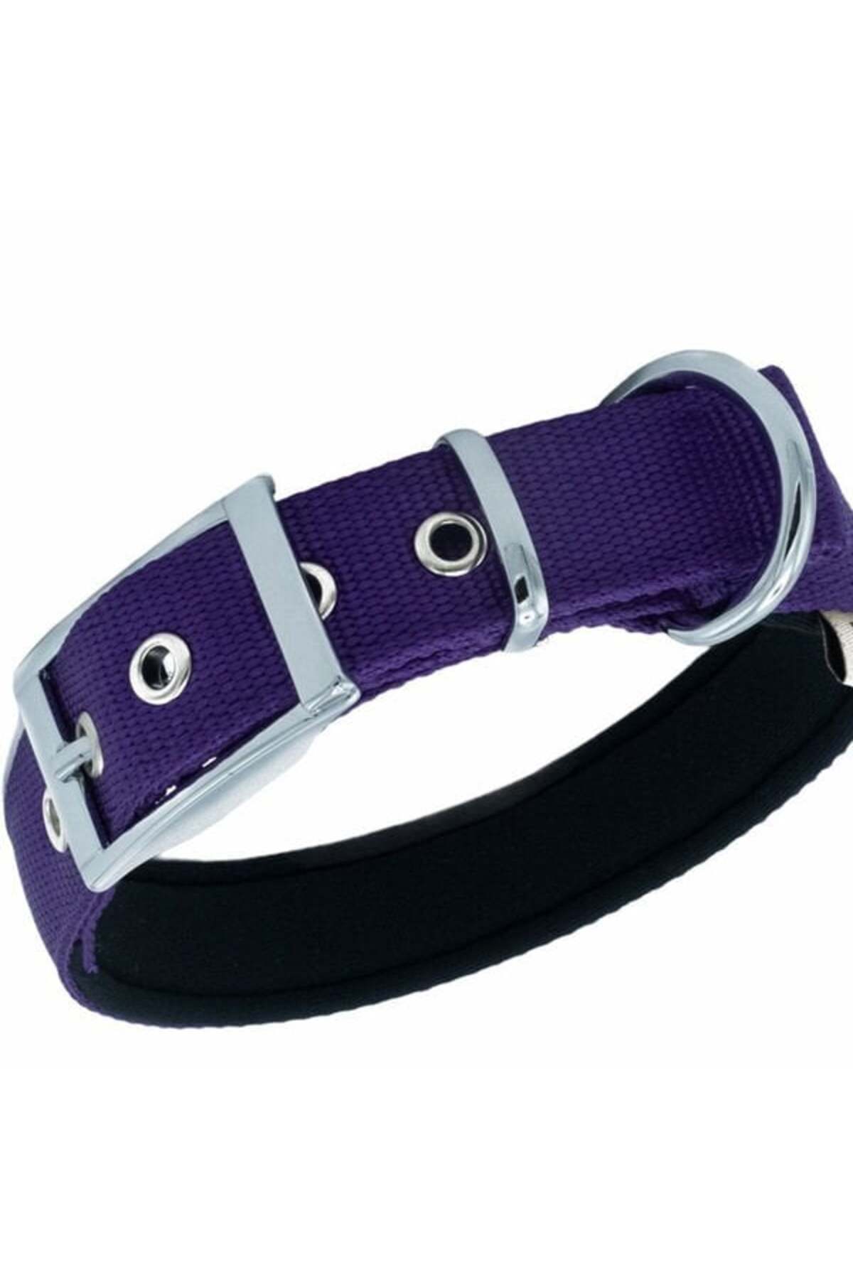 Doggie Elit Dokuma Köpek Boyun Tasması Large Mor 2.5x42-50 Cm