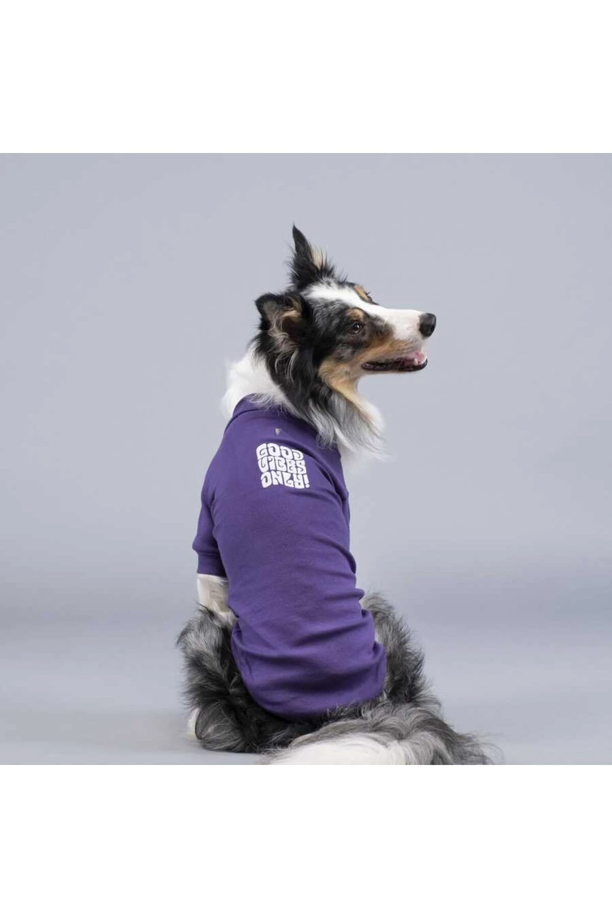 Lindo Dogs Good Vibes Only Flex Köpek Kıyafeti Tshirt Mavi Beden 2