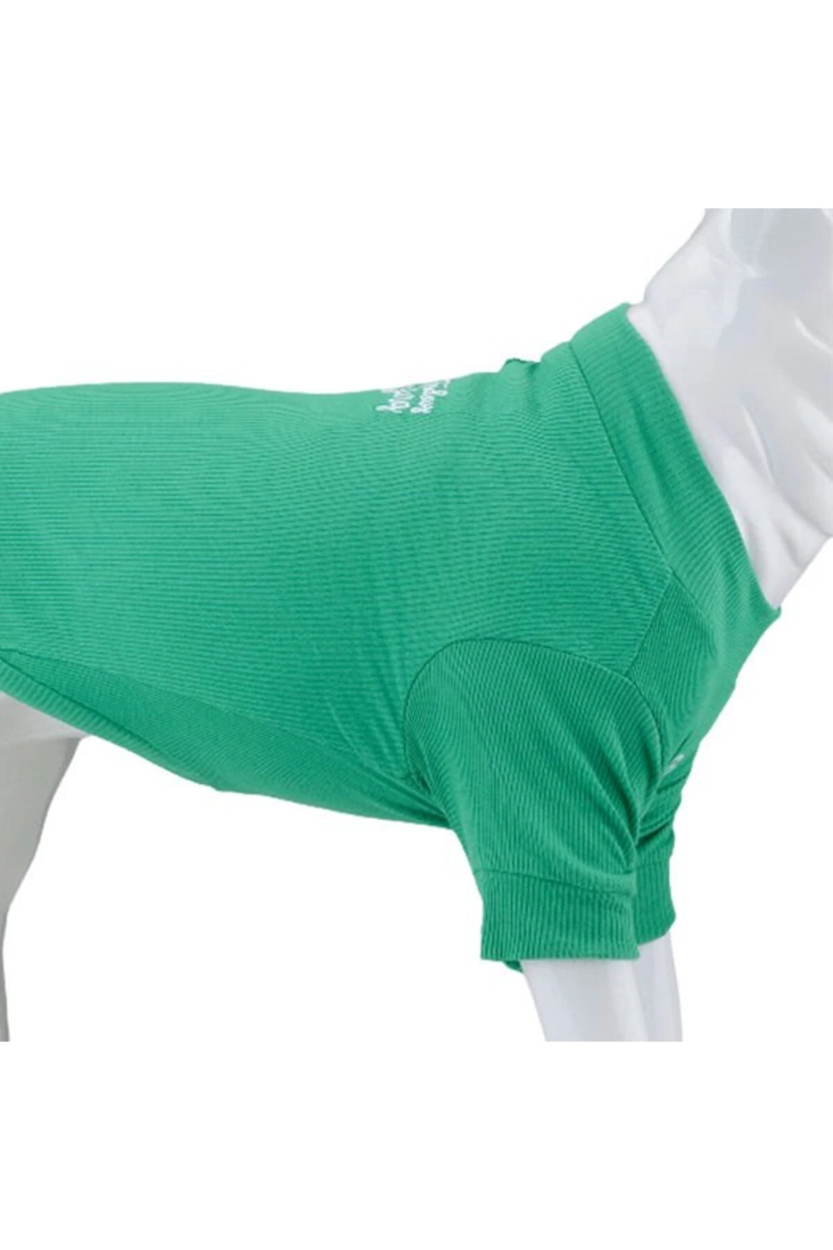 Lindo Dogs Make Today Amazing Köpek Kıyafeti Tshirt Yeşil Beden 5