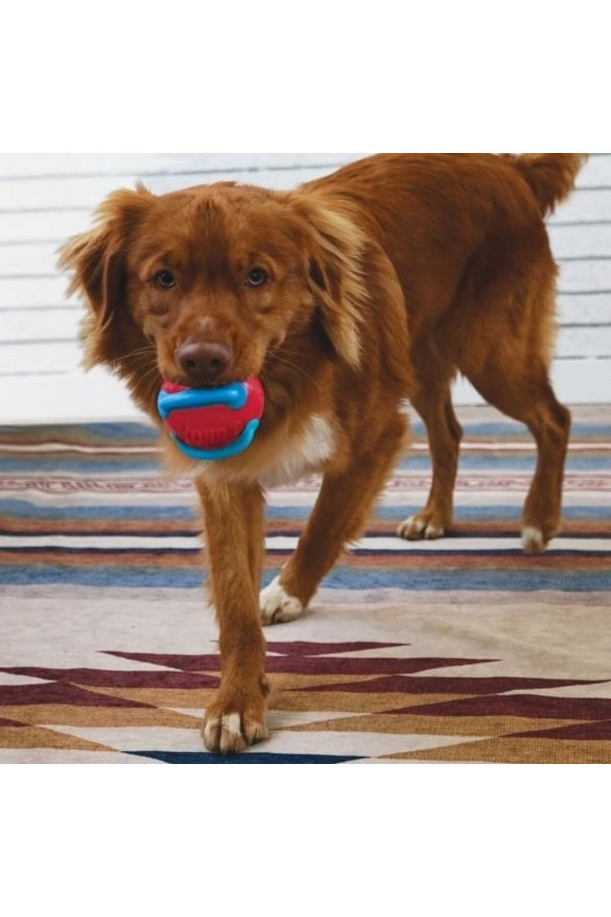 Kong Jaxx Brights Sandviç Şeklinde Köpek Oyuncağı Medium