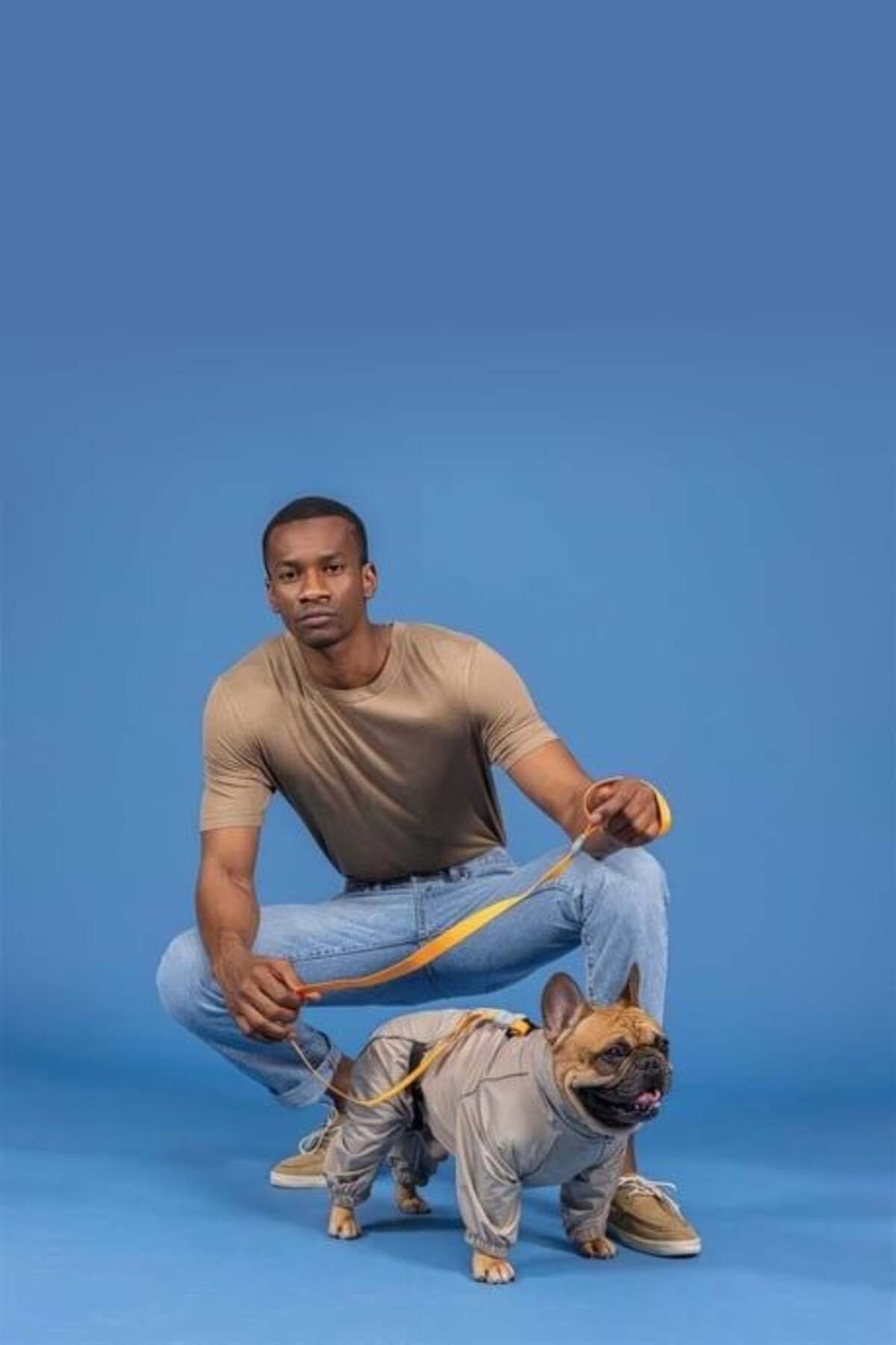 Dogs Quattro Sirius Köpek Yağmurluğu Bej Beden 4