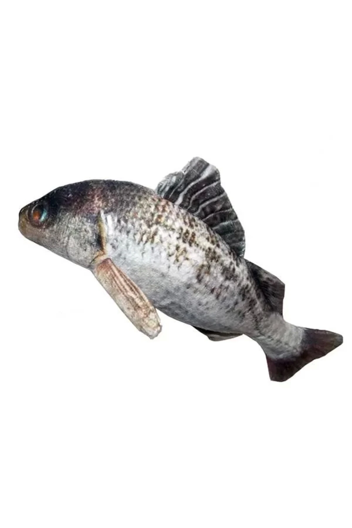 Eastland Peluş Levrek Şeklinde Kedi Oyuncağı 20 Cm