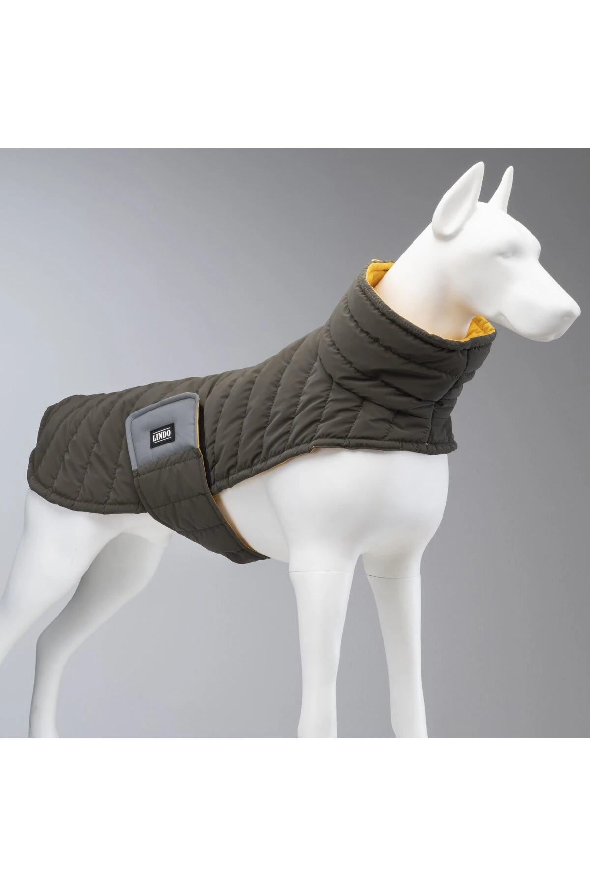 Lindo Dogs Air Puff Mango Köpek Montu Kahverengi Beden 3