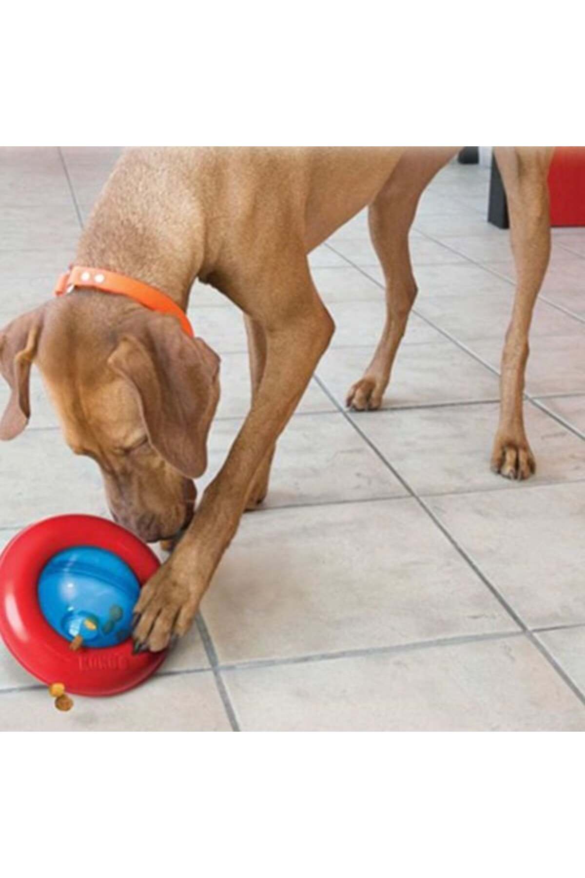 Kong Gyro Ödül Hazneli İnteraktif Köpek Oyuncağı Large 17 Cm