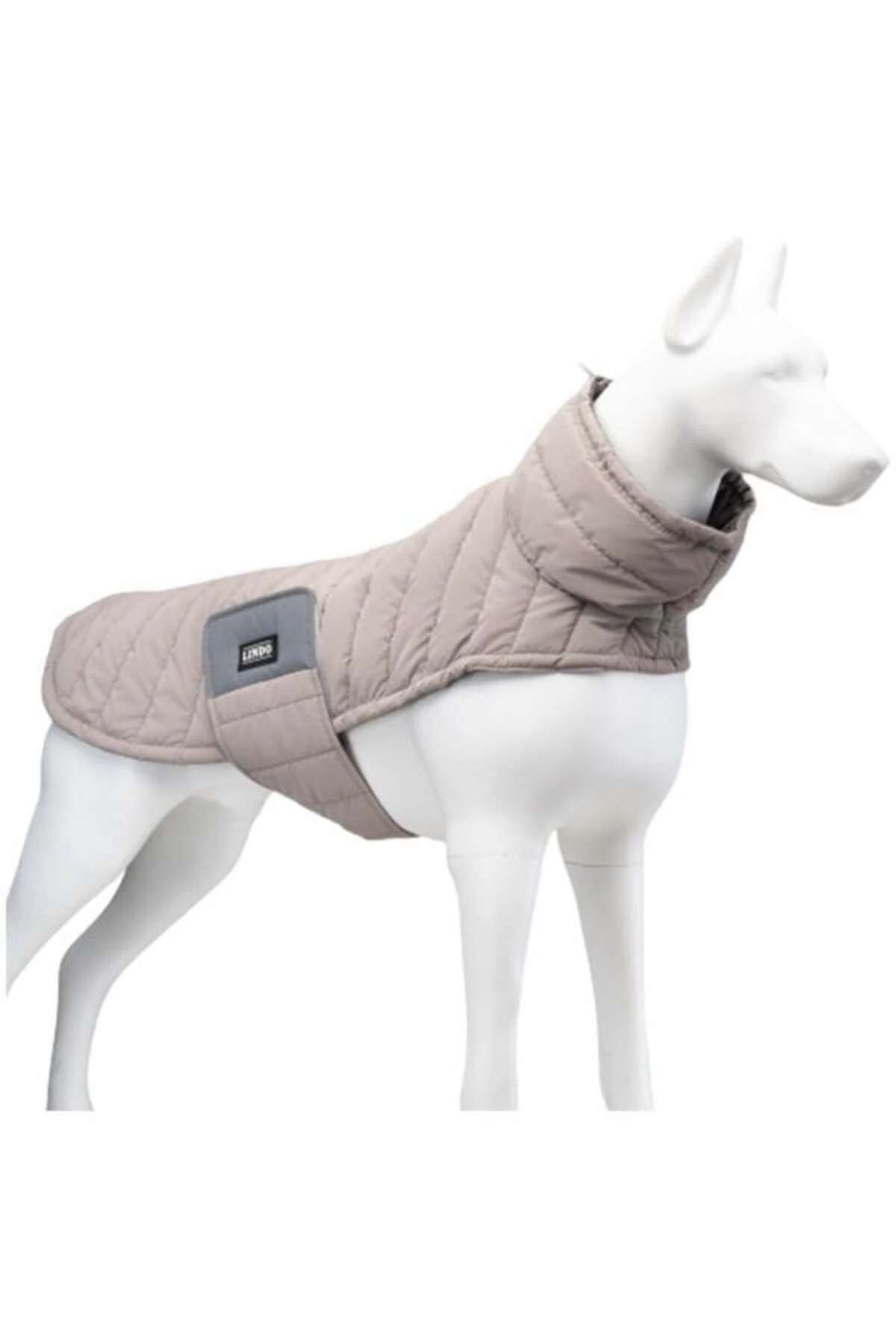 Lindo Dogs Air Puff Stone Köpek Montu Krem Beden 5