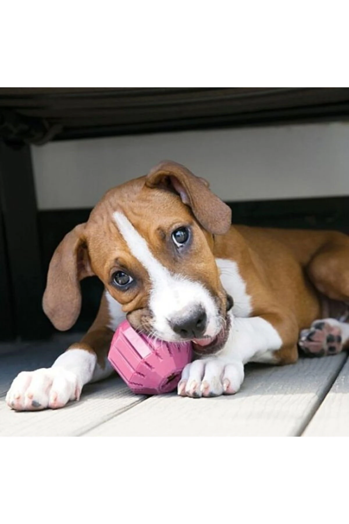 Kong Puppy Activity Çok Amaçlı Yavru Köpek Oyuncağı Small