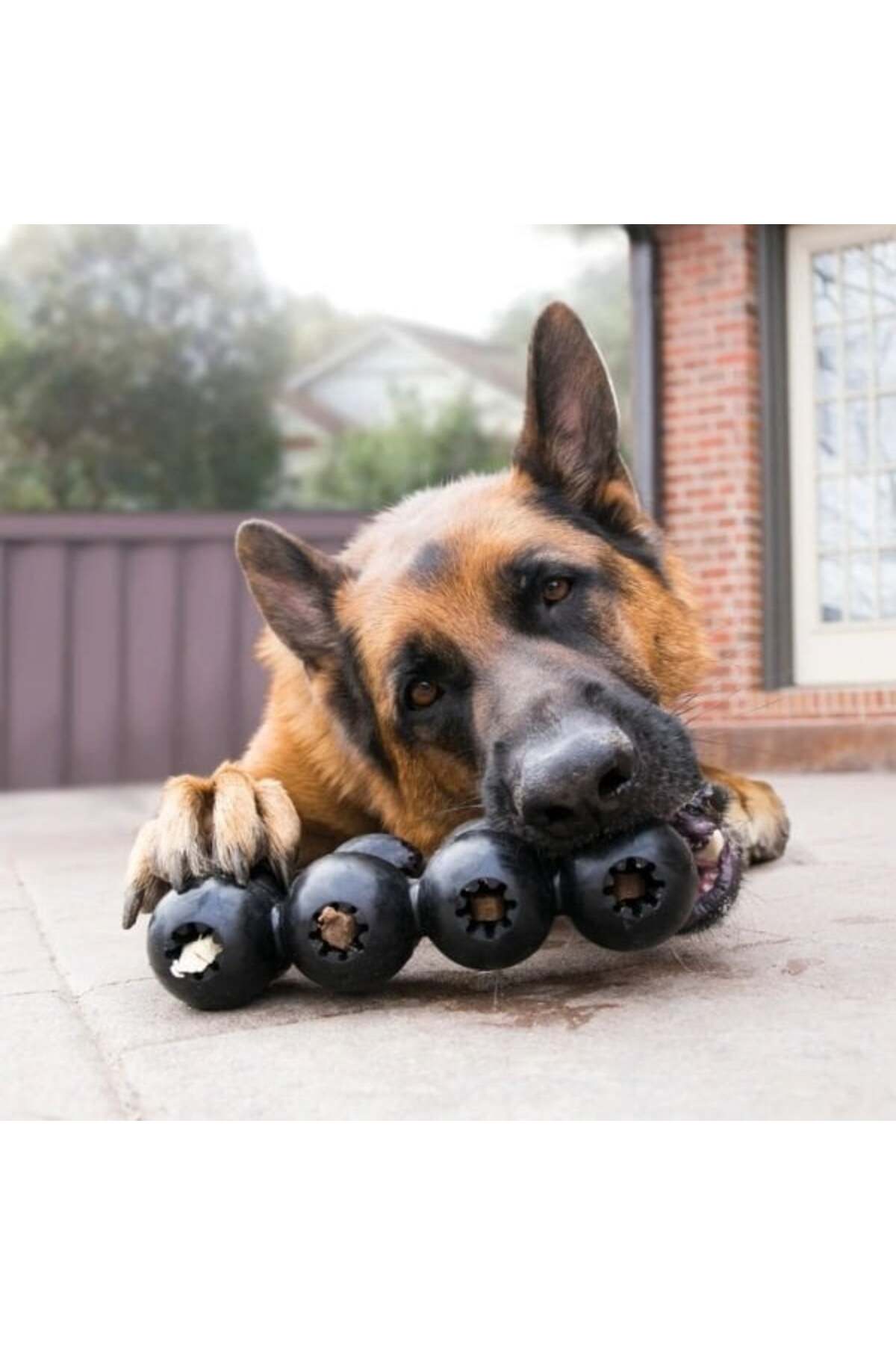 Kong Goodie Ribbon Çoklu Top Şeklinde Köpek Oyuncağı Medium Siyah