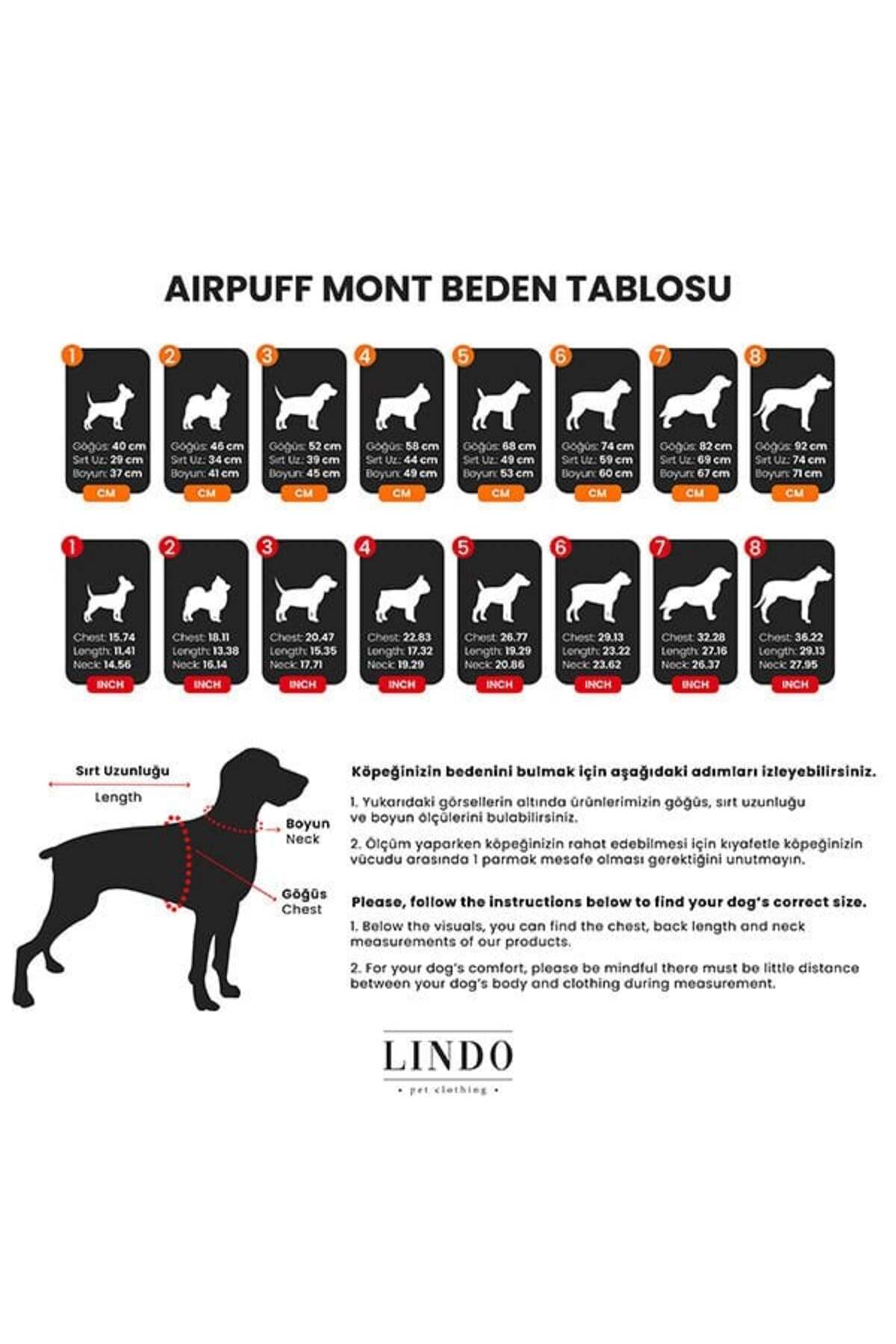 Lindo Dogs Air Puff Stone Köpek Montu Krem Beden 5