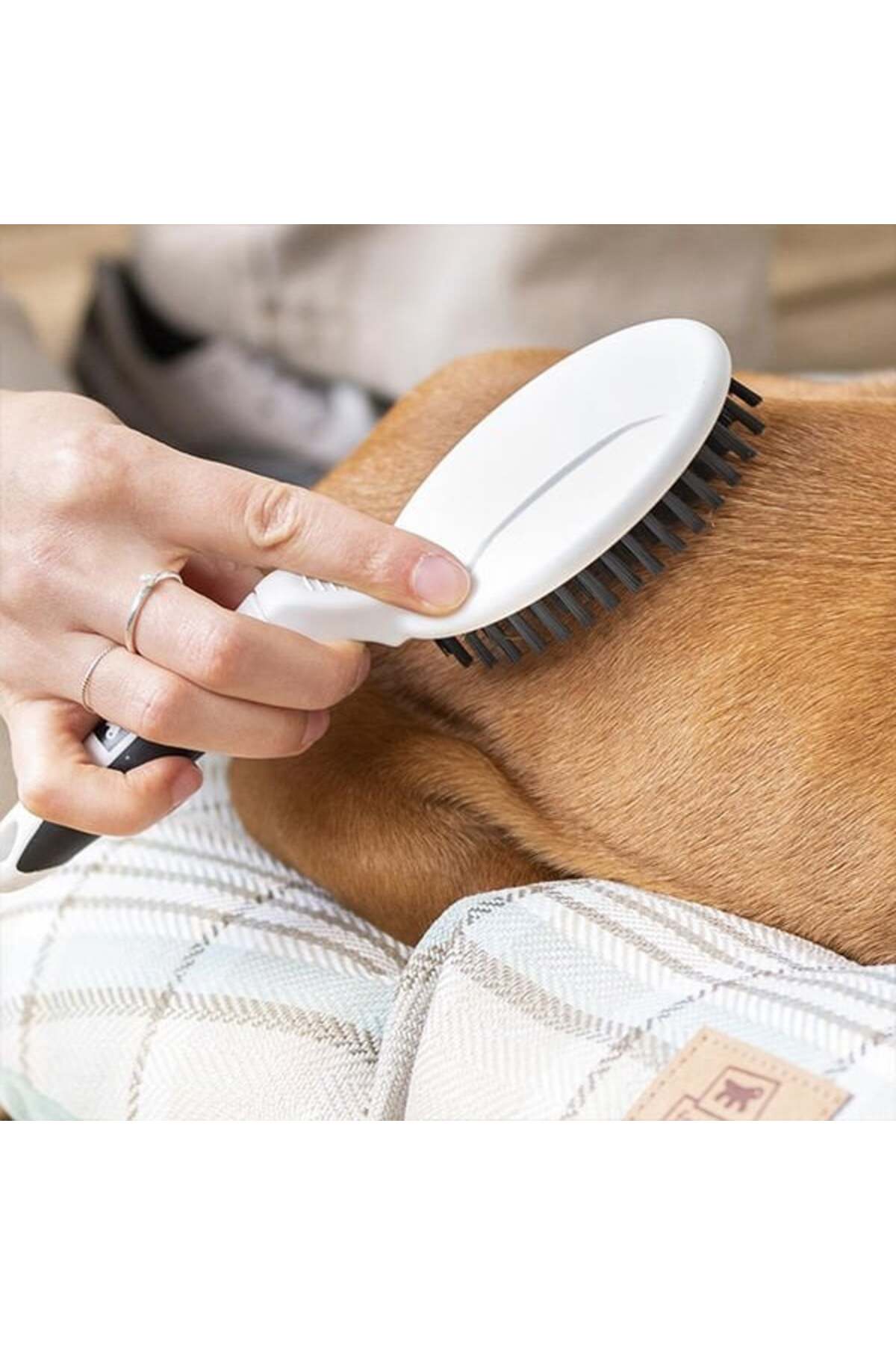 Ferplast Gro 5759 Premium Kedi ve Köpek Tüy Tarama Fırçası Small